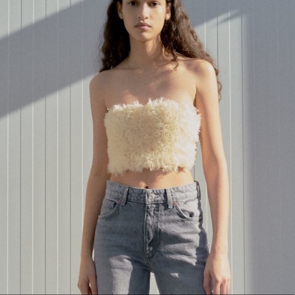 Zara Tops Zara Floral Crop Top Limited Edition Poshmark